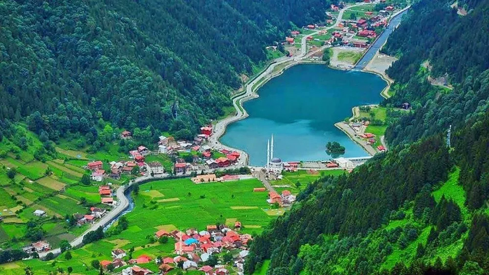 Zennur Yazıcı,İstanbul