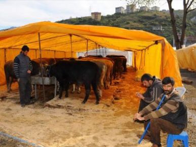 Trabzon`da Kurban Kesim Yerleri Belirlendi 